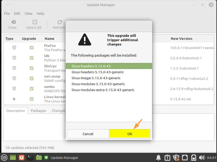 Choose-Ok-Install-Update-Linux-Mint21