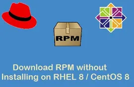 如何在 RHEL 8 / CentOS 8 系统中下载 RPM 包而不安装它们 ?