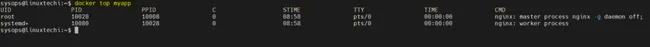 docker-top-command-output