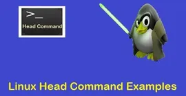 通过8个实例掌握 Linux Head 命令