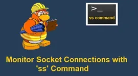 通过14个案例掌握 ss 命令监控 socket 网络连接