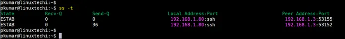 view-tcp-network-connection-ss-command