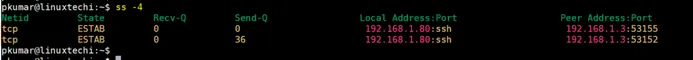 Ipv4-Socket-Session-ss-command