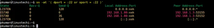 Filter-Socket-Connections-ss-command