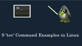 通过9个案例学会使用 Linux Tee 命令