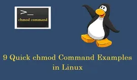 通过9个实例快速掌握 linux chmod 命令