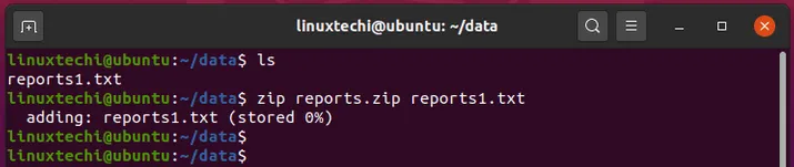 zip-single-file-linux
