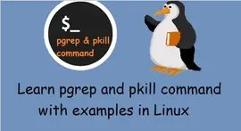 linux pgrep 和 pkill 命令使用案例