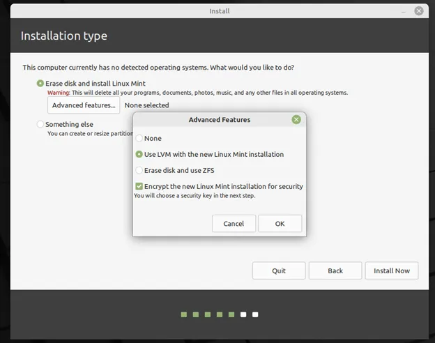 Advance-Features-LinuxMint21-Installation-Type