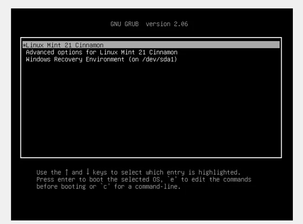 LinuxMint21-windows11-Grub-Screen