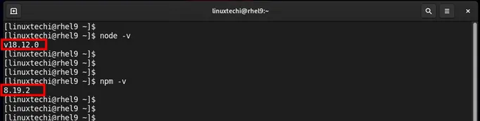 Verify-NodeJs-NPM-Version-RHEL9
