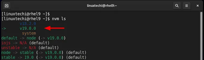 Check-NodeJS-Version-after-switching-rhel9
