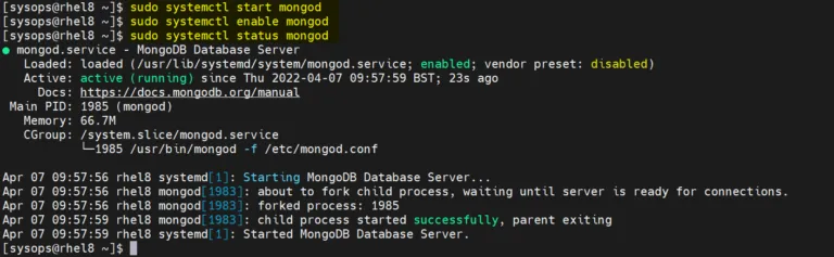 output-mongod-service