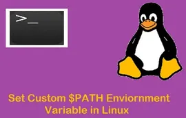 如何在 Linux 中设置自定义 $PATH 环境变量 ?