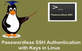 如何在Linux下使用密钥设置SSH无密码登录 ?