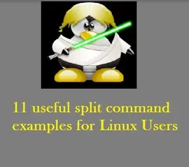 通过11个案例掌握 Linux Split 命令