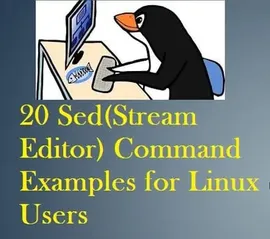 通过20个示例掌握 Linux Sed 命令