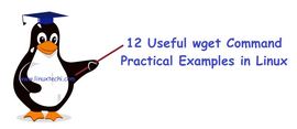 通过12个实例掌握 linux wget 命令的使用