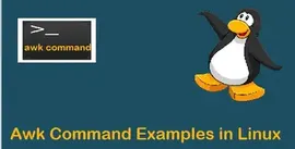 超有用的 Linux / Unix awk 命令示例