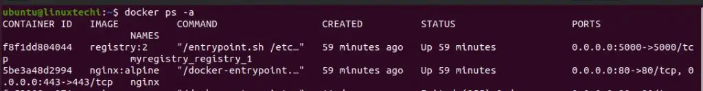 docker-ps-a-command-output-linux