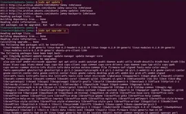 如何在 Ubuntu 22.04 系统上安装 Git ?