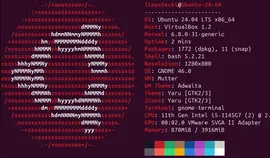 如何从 Ubuntu 22.04 升级到 Ubuntu 24.04 ？