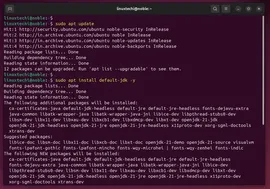 如何在 Ubuntu 24.04 上安装 Java ？