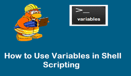 如何在 Shell 脚本中使用变量 ？