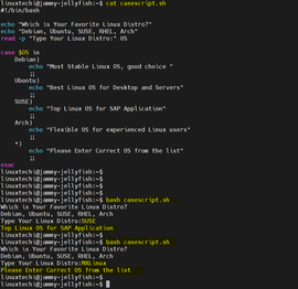 如何在 Shell 脚本中使用 If 语句 ？
