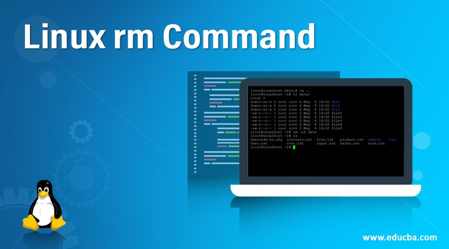 rm Command Examples for Linux Beginners