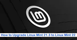 如何将 Linux Mint 21 升级到 Linux Mint 22 ？