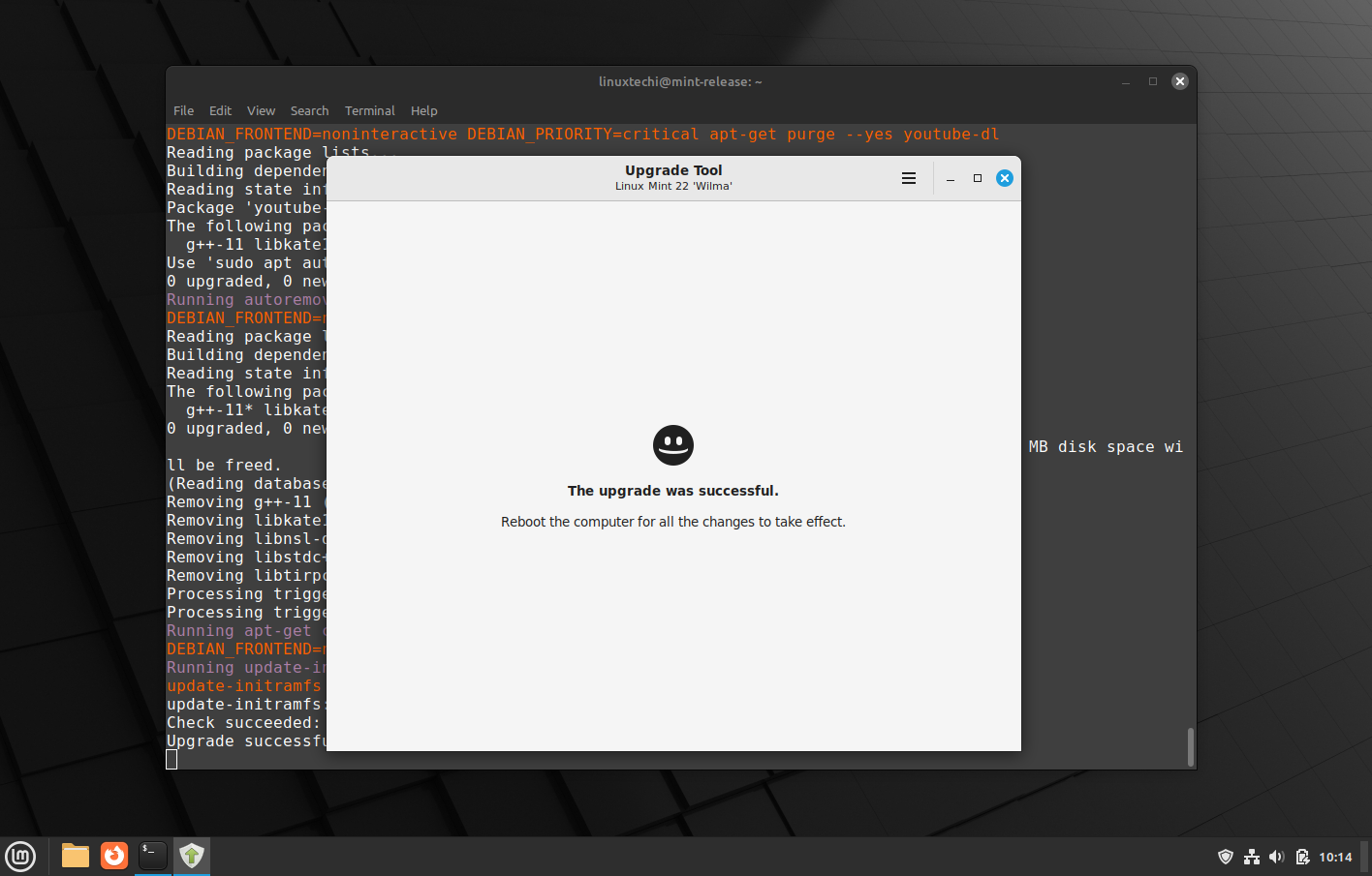 Linx Mint Successful Upgrade Screen