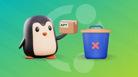 如何在 Ubuntu 和 Debian 上删除未使用的软件包 ？