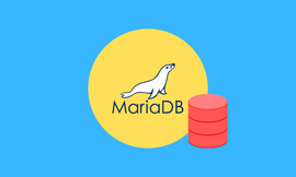 如何在 Ubuntu 24.04 上安装 MariaDB ？