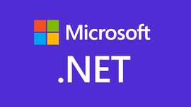 如何查看 Windows 上安装的 .NET Framework 版本 ？