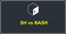 SH 和 BASH 有什么不同 ？