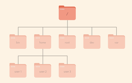 什么是主目录（Home Directory）？