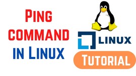如何使用 Linux ping 命令 ？