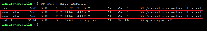 Determine the web server user