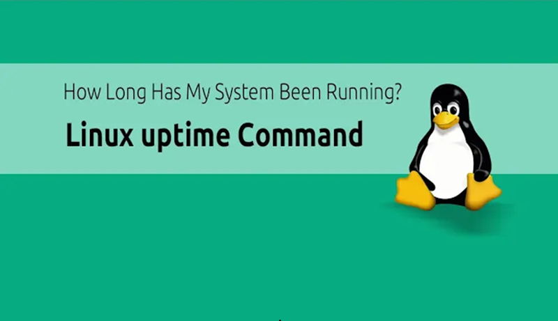 Uptime Command in Linux