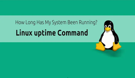 如何在 Linux 中使用 uptime 命令 ？