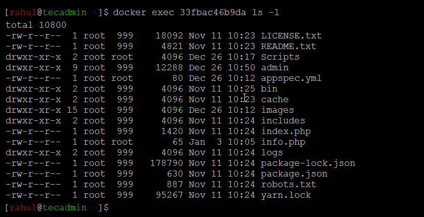 Running Command in Docker Container without Login