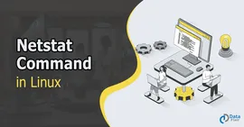 如何在 Linux 中安装 netstat 命令 ？