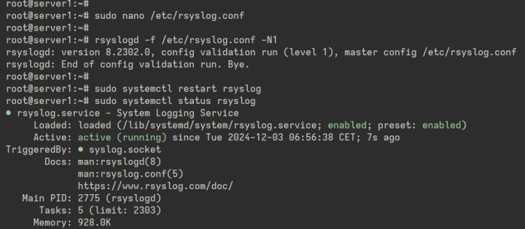 check rsyslog service